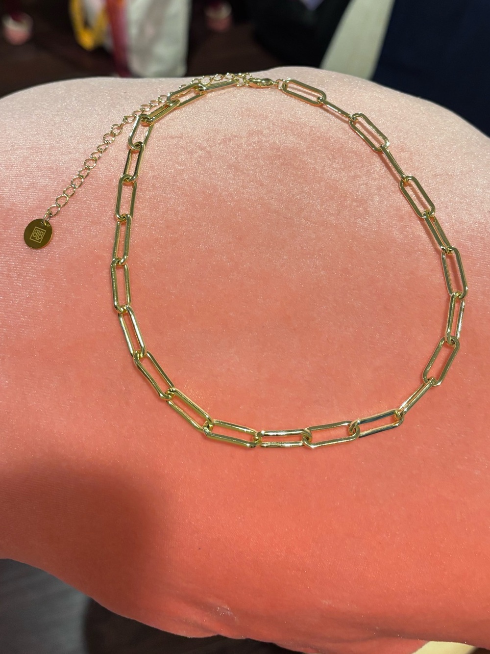 Gold Paperclip Necklace with Adjustable Chain